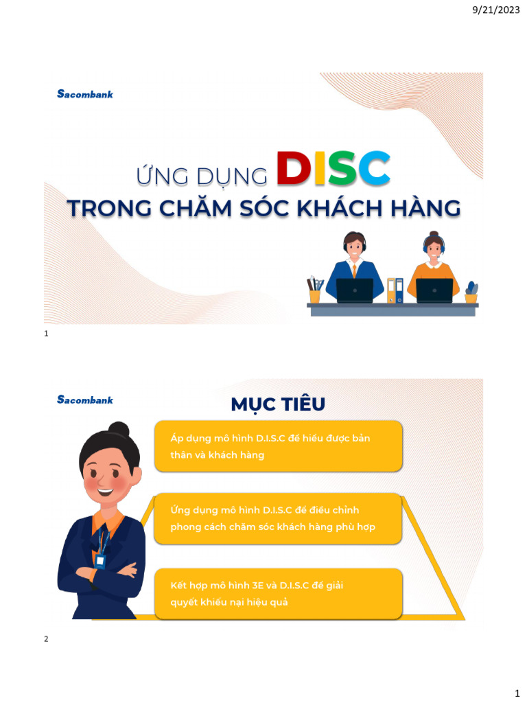 Tài liệu DISC | PDF