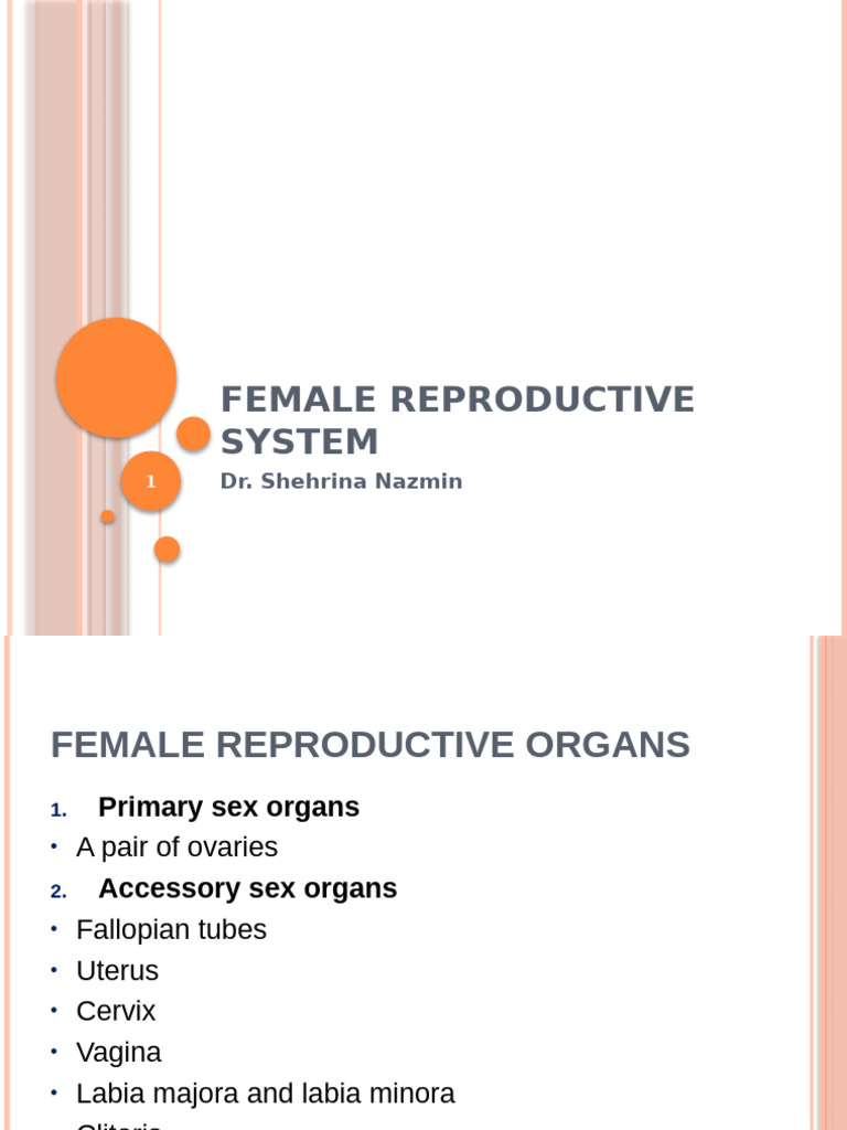 Female Reproductive System Overview | PDF | Menstrual Cycle ...