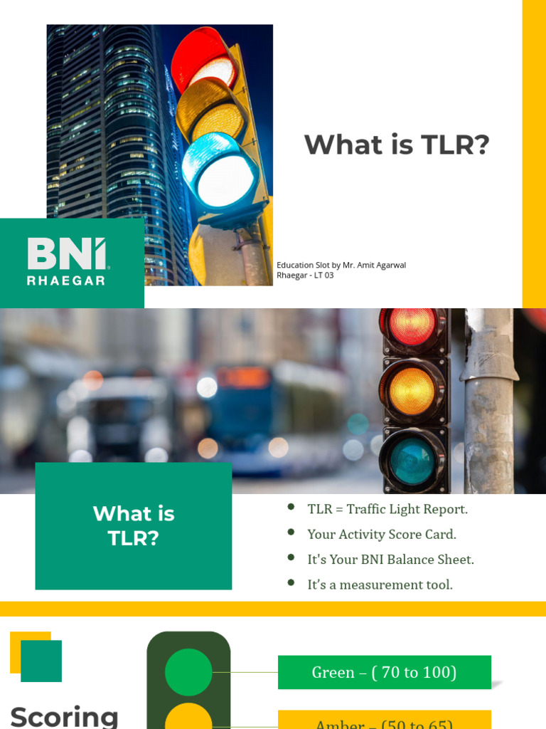 BNI Traffic Light Report Overview | PDF