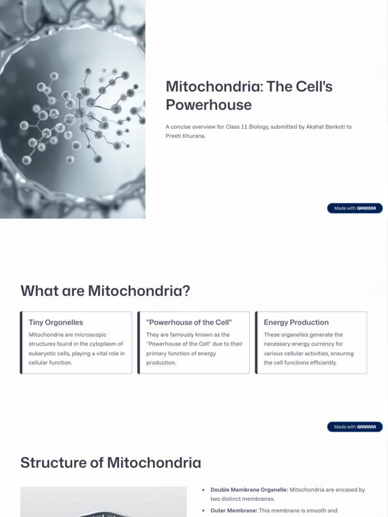 Mitochondria: The Cell's Energy Powerhouse | PDF | Mitochondrion | Cell ...