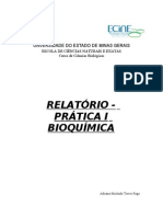 Relatorio Bioquimica
