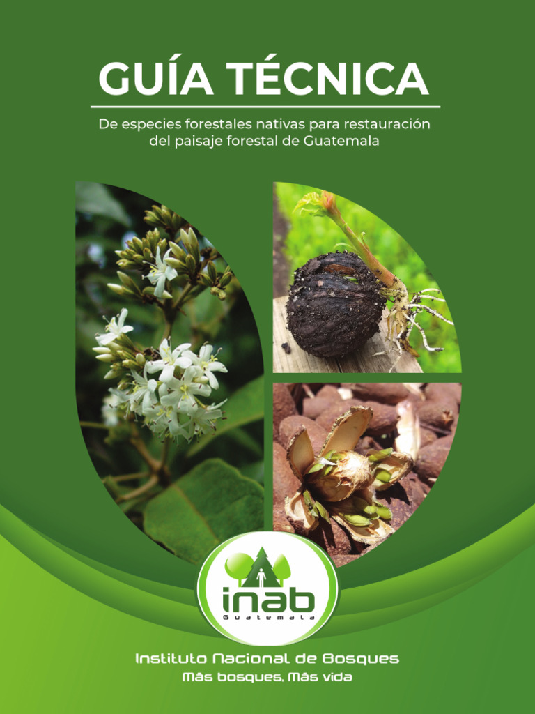 Guía de Especies Nativas para Restauración | PDF | Los bosques | Semilla