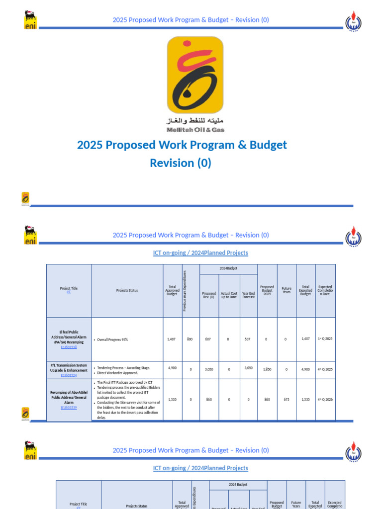 2025 Work Program & Budget Overview | PDF