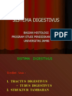 Sistema Digestivus