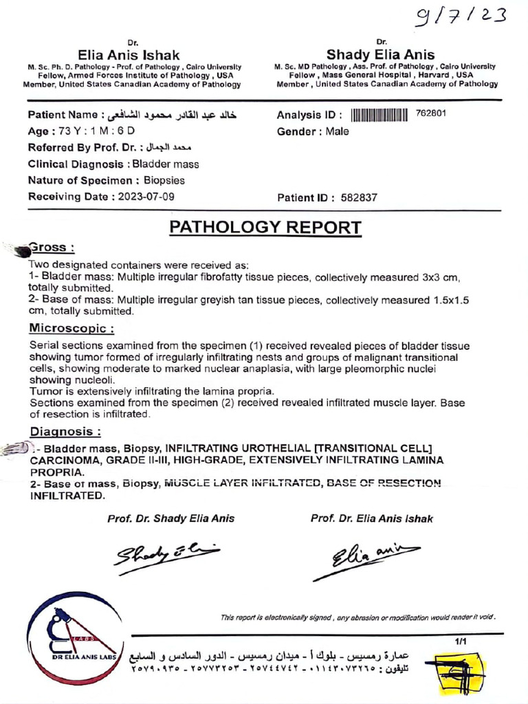 Attachment 7 - Pathology Report 09-07-23 | PDF