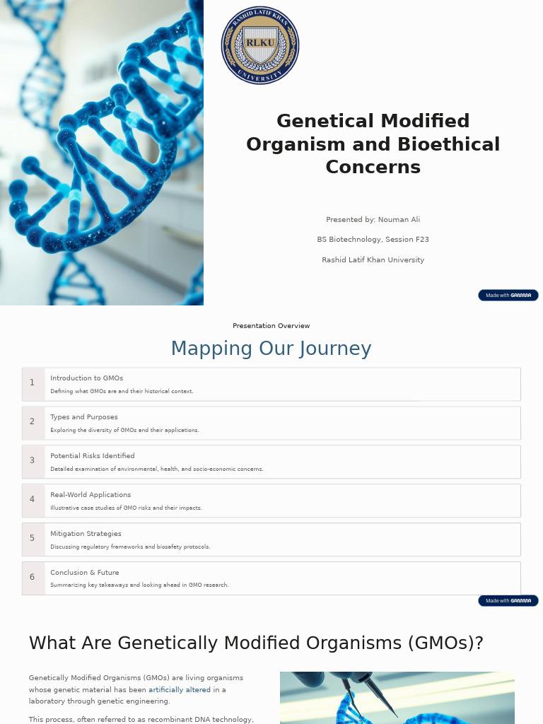 GMO Risks and Bioethical Issues Explained | PDF | Genetic Engineering ...