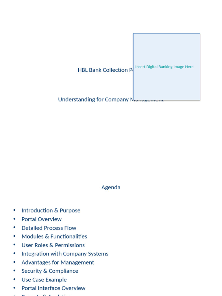 HBL Bank Collection Portal Overview | PDF | Banks | Access Control