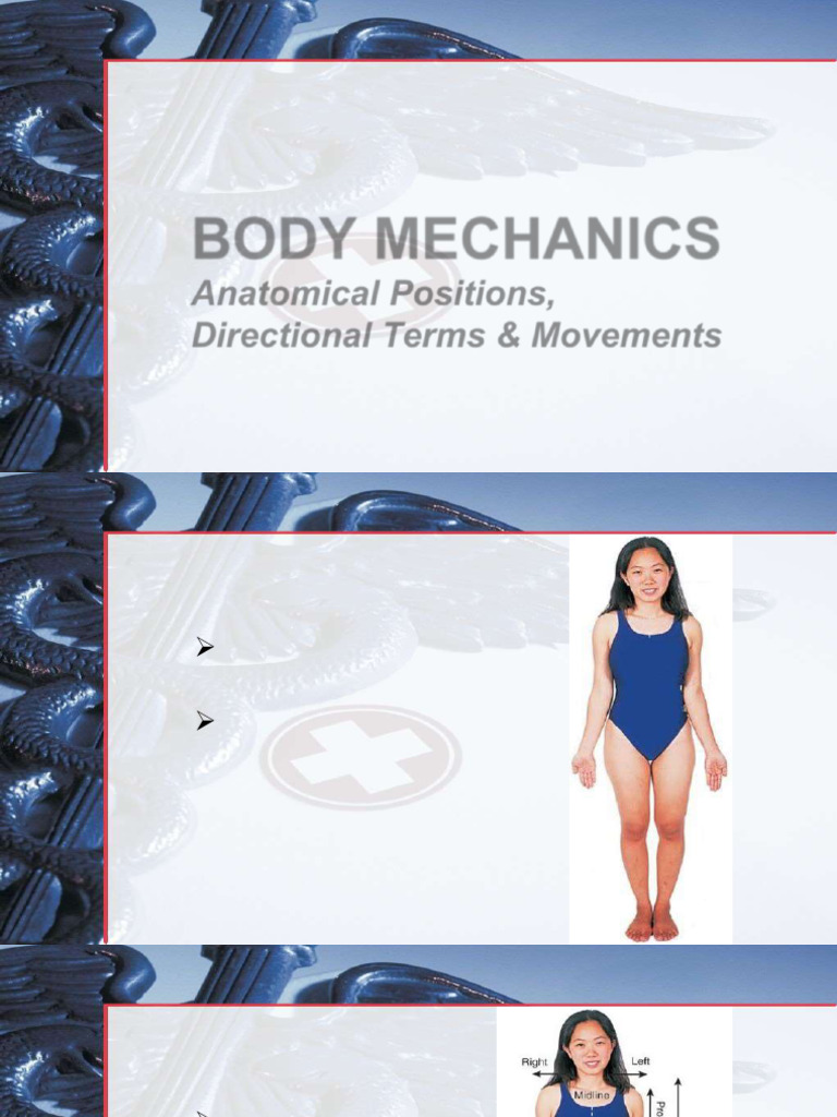 Anatomical Positions Body Movements | PDF | Anatomical Terms Of Motion ...