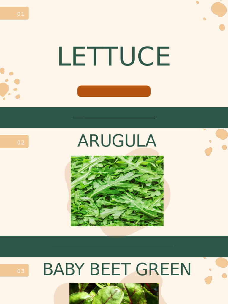 Types of Lettuce and Greens Guide | PDF