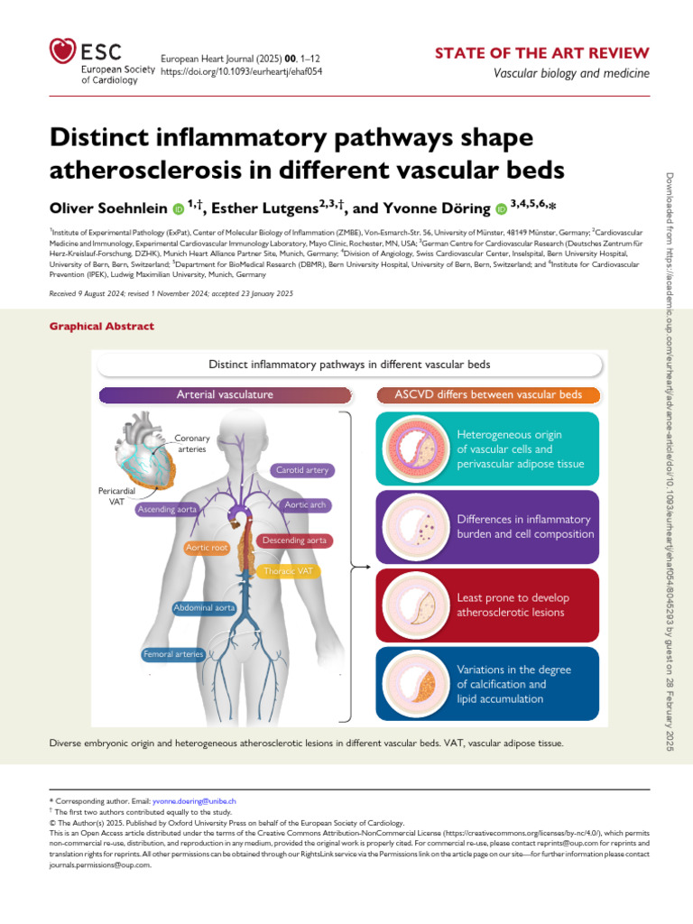 Inflammatory Pathways in Atherosclerosis | PDF | Atherosclerosis | Atheroma