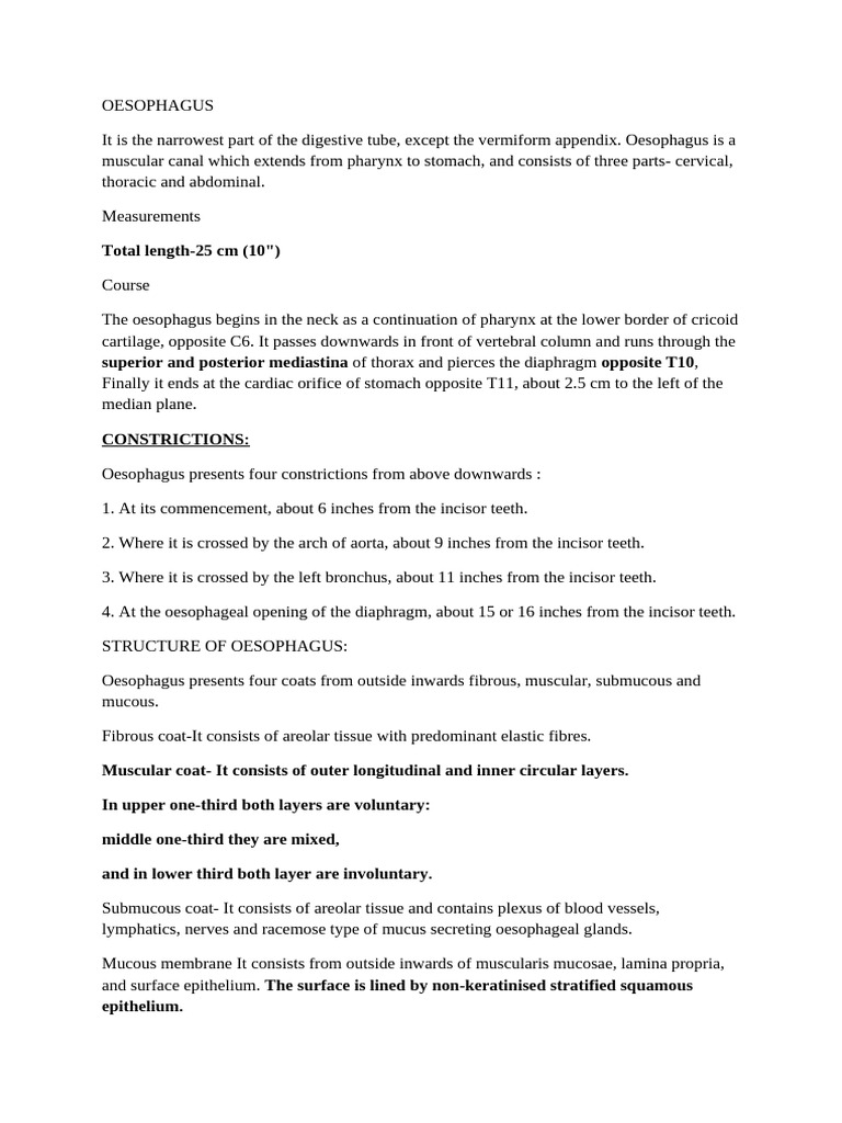 Anatomy and Functions of the Oesophagus | PDF | Esophagus | Stomach
