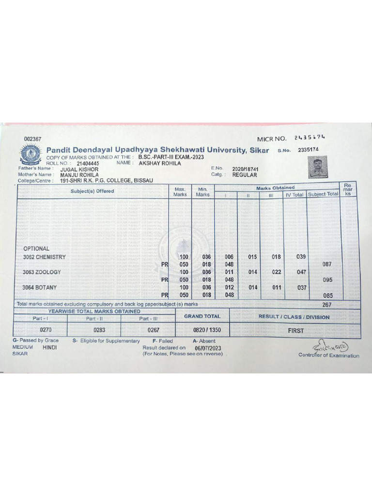 Bachelor Marksheet | PDF