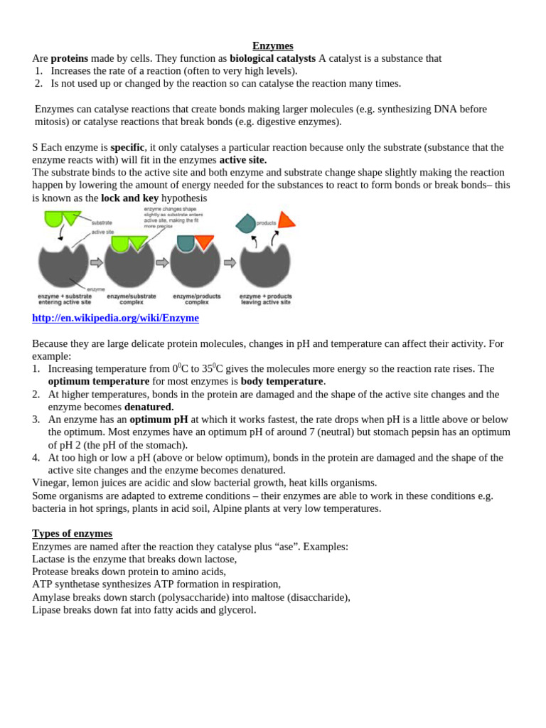 Enzymes 2015 | PDF | Enzyme | Active Site