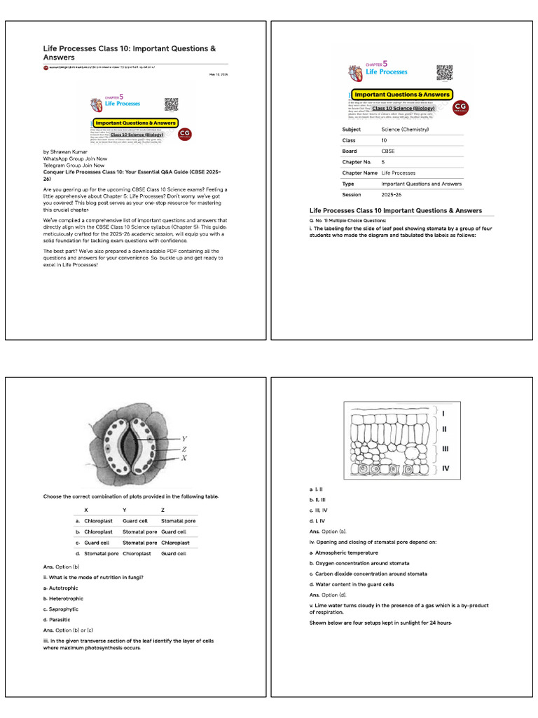 Class 10 Life Processes Q&A Guide | PDF | Digestion | Photosynthesis