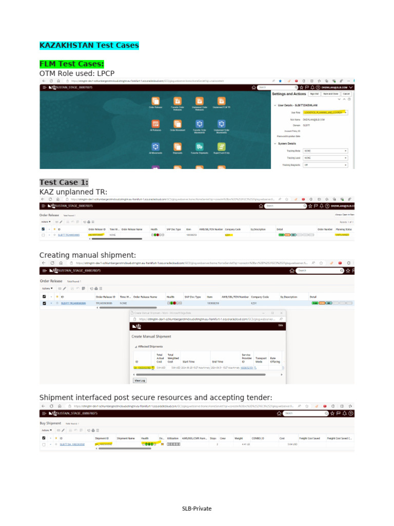 KAZ FLM and SAP Invoice Test Cases | PDF | Accounting | Business Documents
