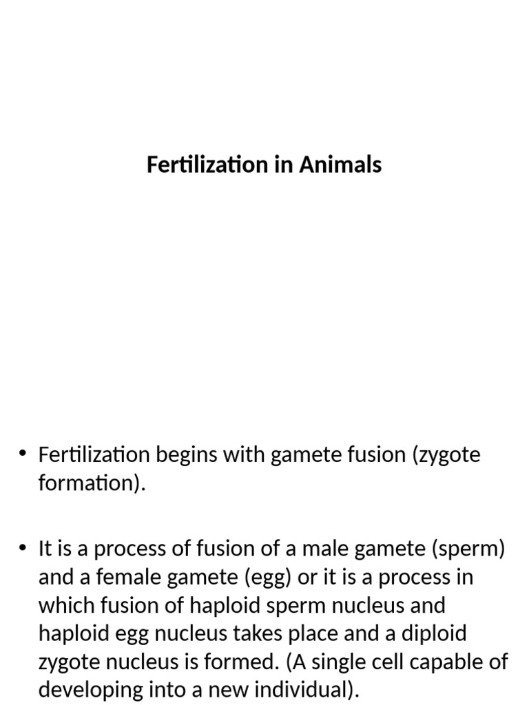 Animal Fertilization Process Explained | PDF | Fertilisation | Sperm