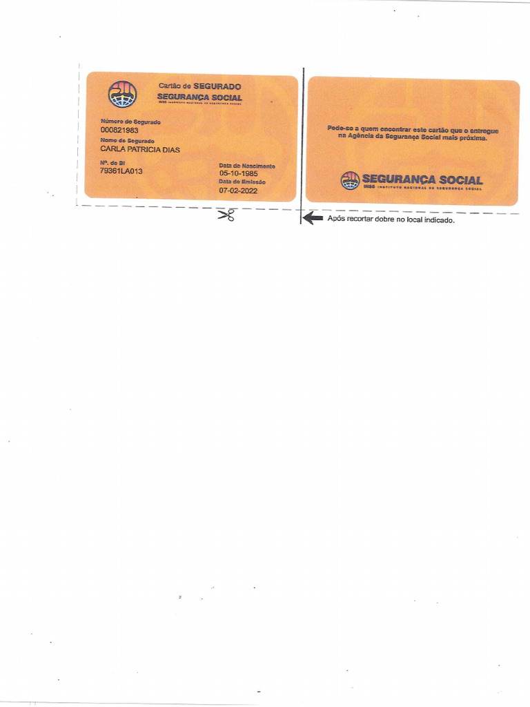 INSS | PDF