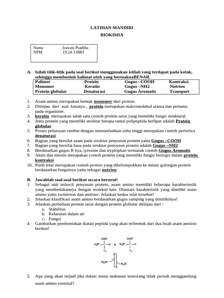 Latihan Mandiri Biokimia Protein | PDF