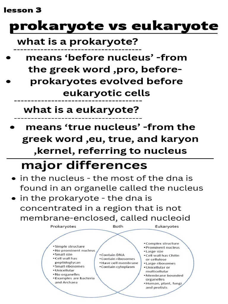 Prokaryotes vs Eukaryotes Explained | PDF
