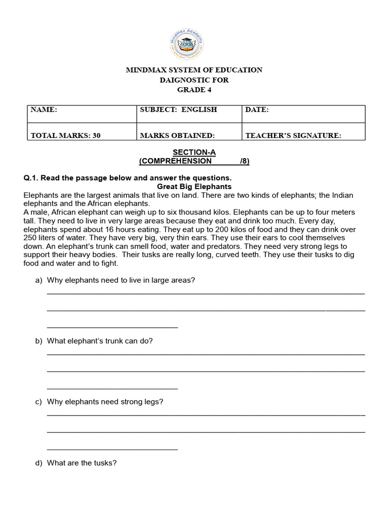 Grade 4 English Diagnostic Test | PDF | Elephant