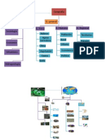 Mapa Conceptual, Steven Cifuentes Ramirez 11200731, Lindy Vanessa Hurtado 11200722