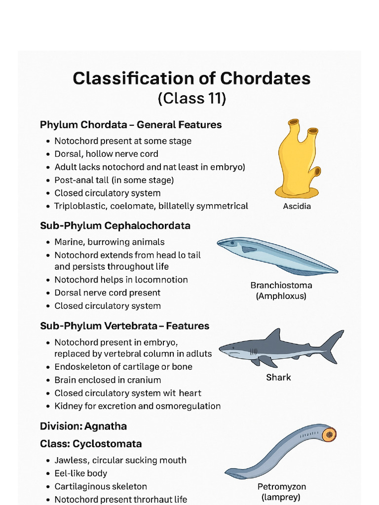 ALL CHORDATE CLASSES visual data 6