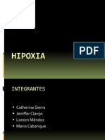 Hipoxia Fisiologia