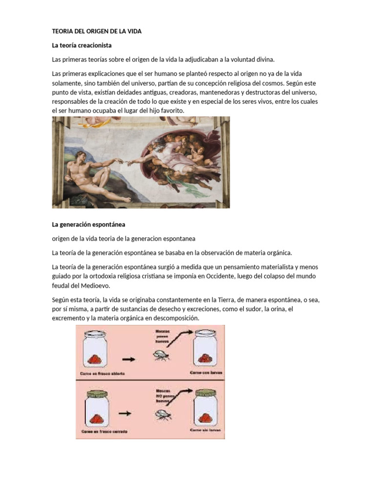 Teorías sobre el Origen de la Vida | PDF | Abiogénesis | Vida
