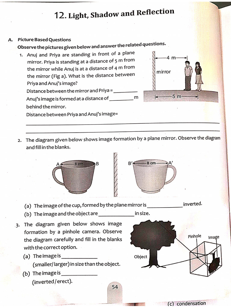 Class 6th Light | PDF