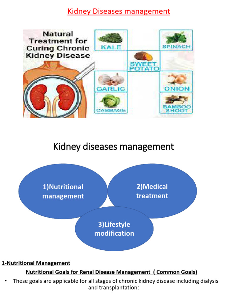 Comprehensive Kidney Disease Management | PDF | Chronic Kidney Disease ...