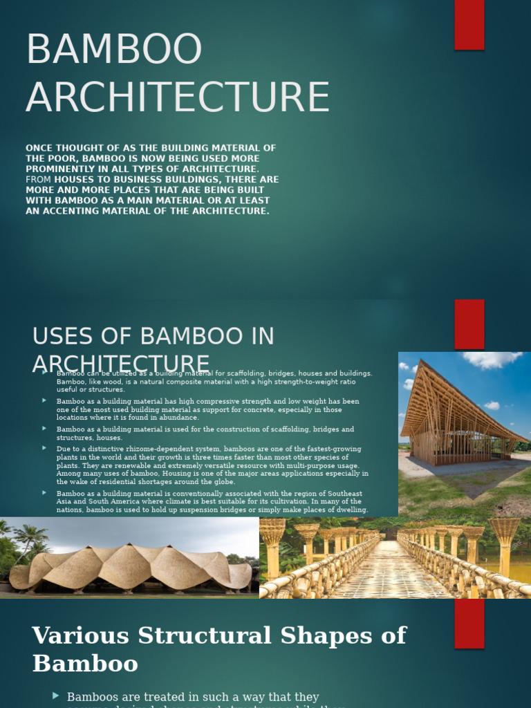 Translucent Bamboo Architecture | PDF | Bamboo | Hedge