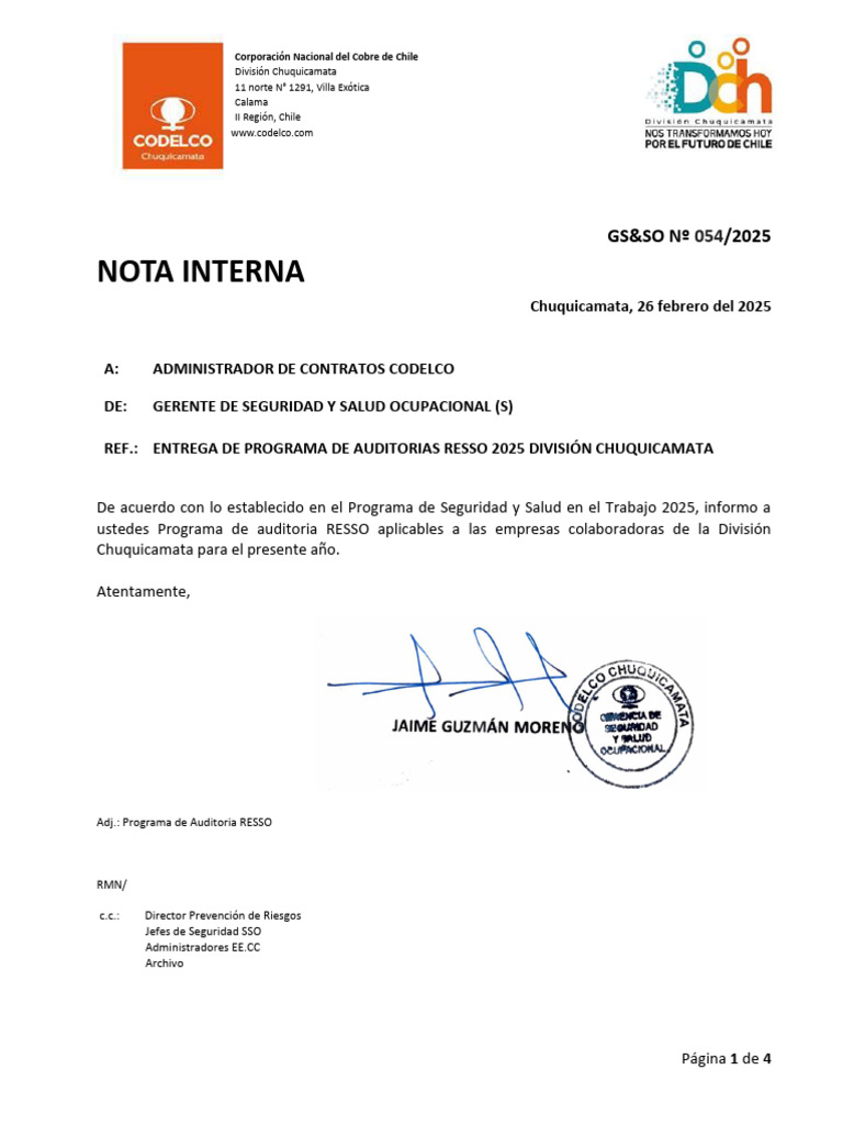 Nota Interna GS&SO N°054-2025 Entrega Programa Auditoria RESSO | PDF