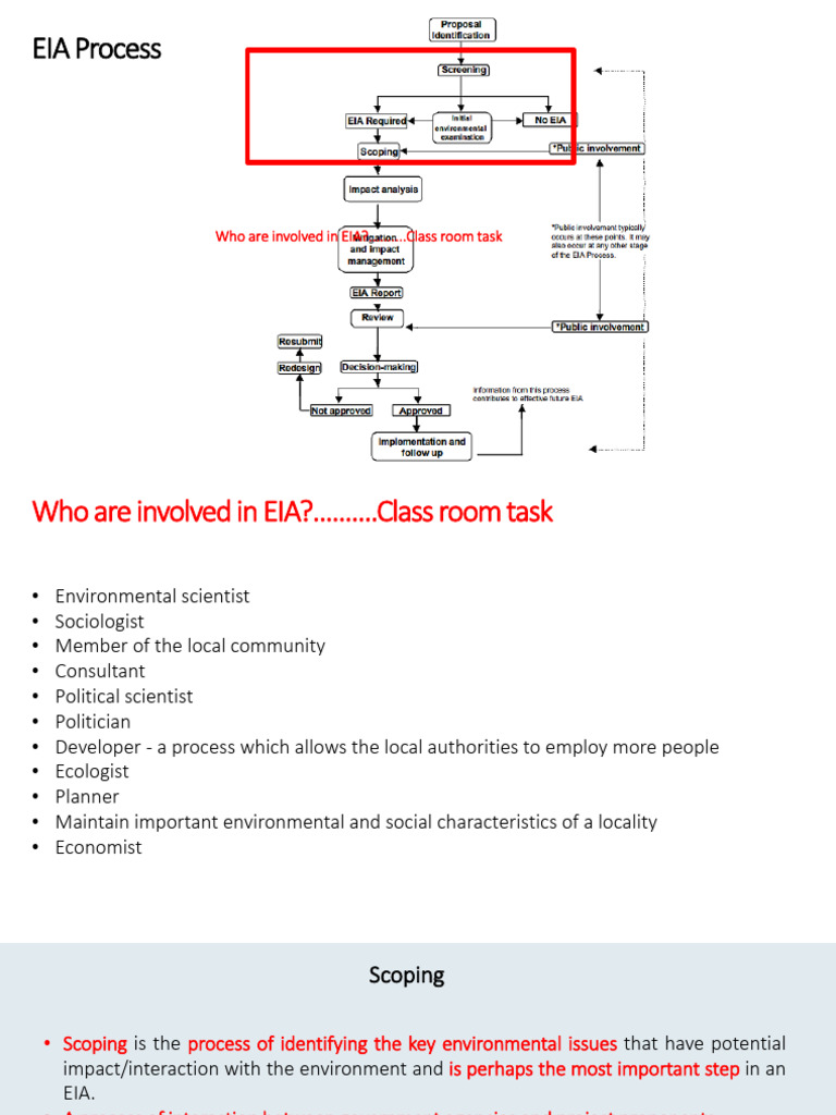 Scoping in EIA: Key Processes and Impacts | PDF | Environmental Impact ...