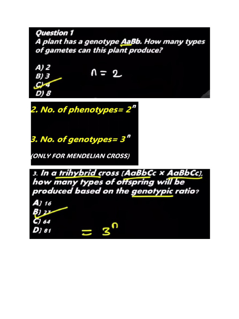 Numerical S | PDF