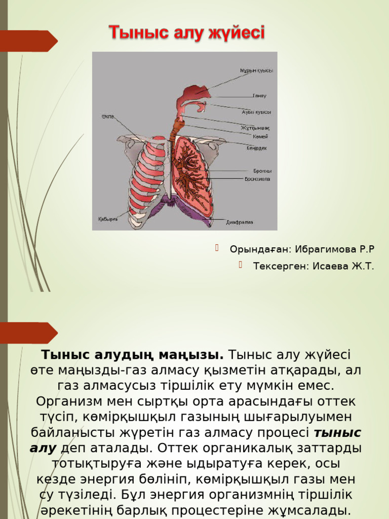 Порно видео түсірілім алаңындағы оқиғалар