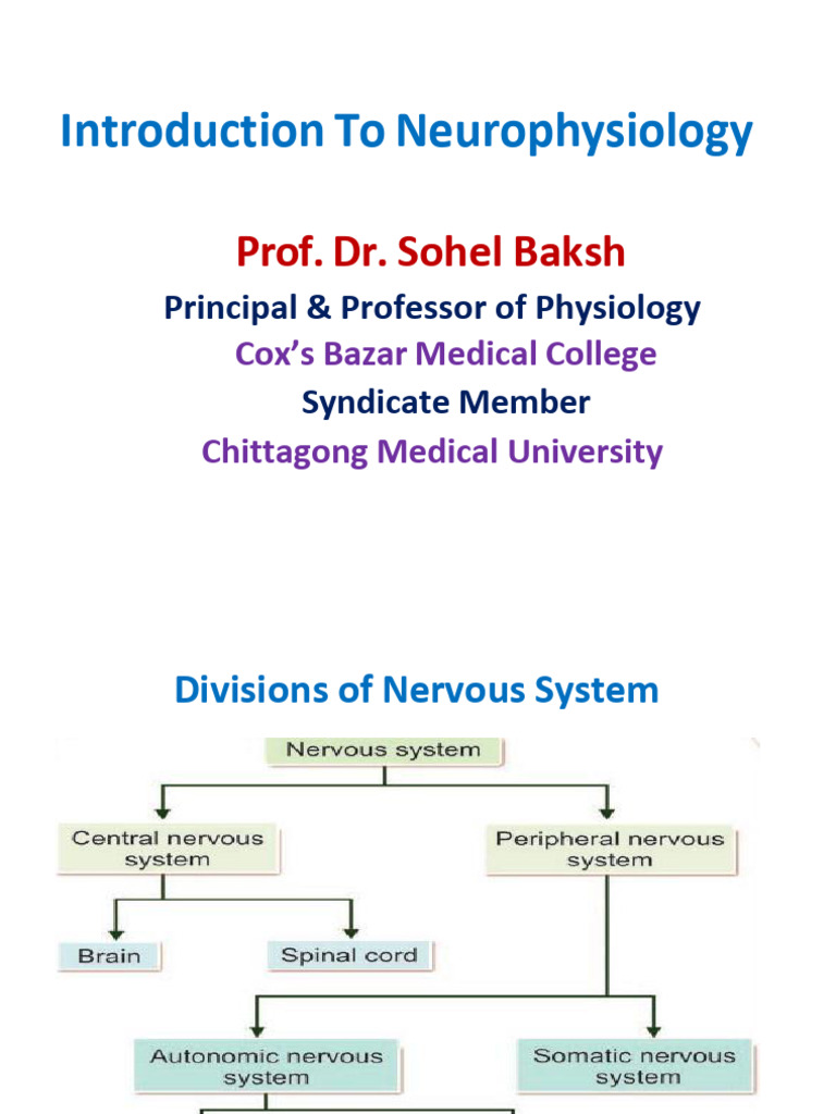 Overview of Neurophysiology Concepts | PDF | Chemical Synapse ...