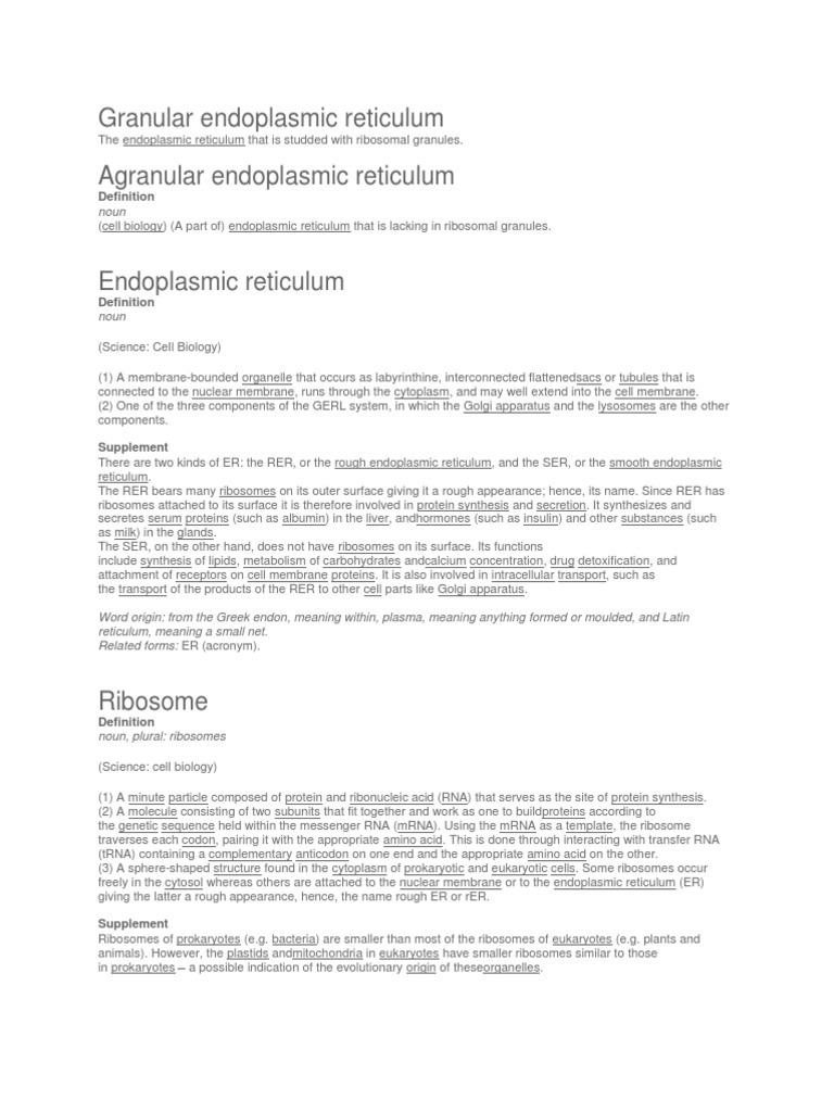 Granular Endoplasmic Reticulum | PDF | Endoplasmic Reticulum | Ribosome