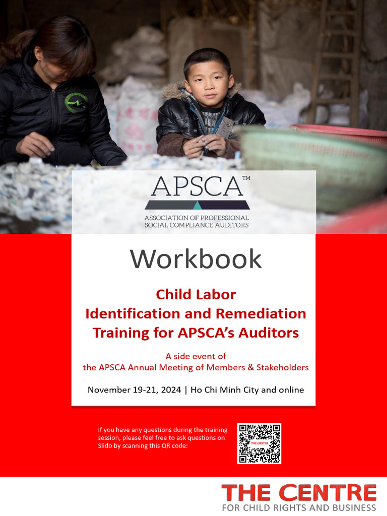 Child Labor Training Workbook for Auditors | PDF | Occupational Safety ...