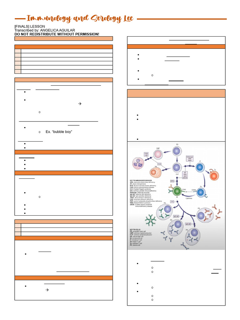 Understanding Immunodeficiency Diseases | PDF | Immunodeficiency ...