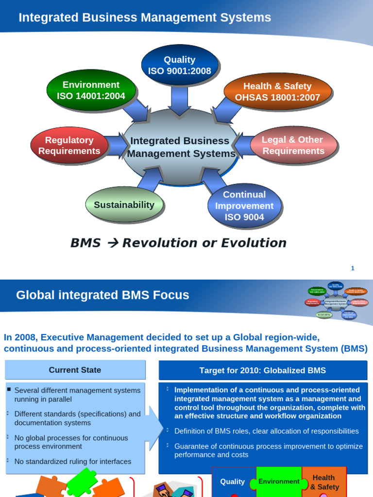 Integrated Business Management Systems Guide | PDF | Economies | Business