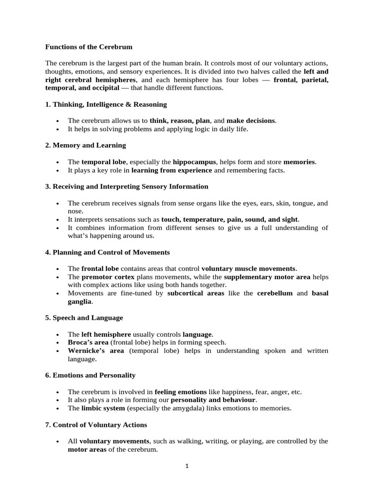 Functions of The Different Parts of The Brain | PDF | Cerebrum ...