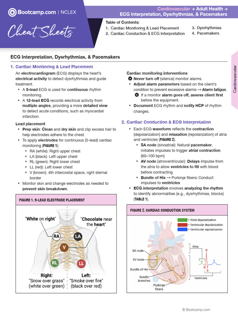 Pacemaker Rhythms Overview | PDF | Electrocardiography | Heart