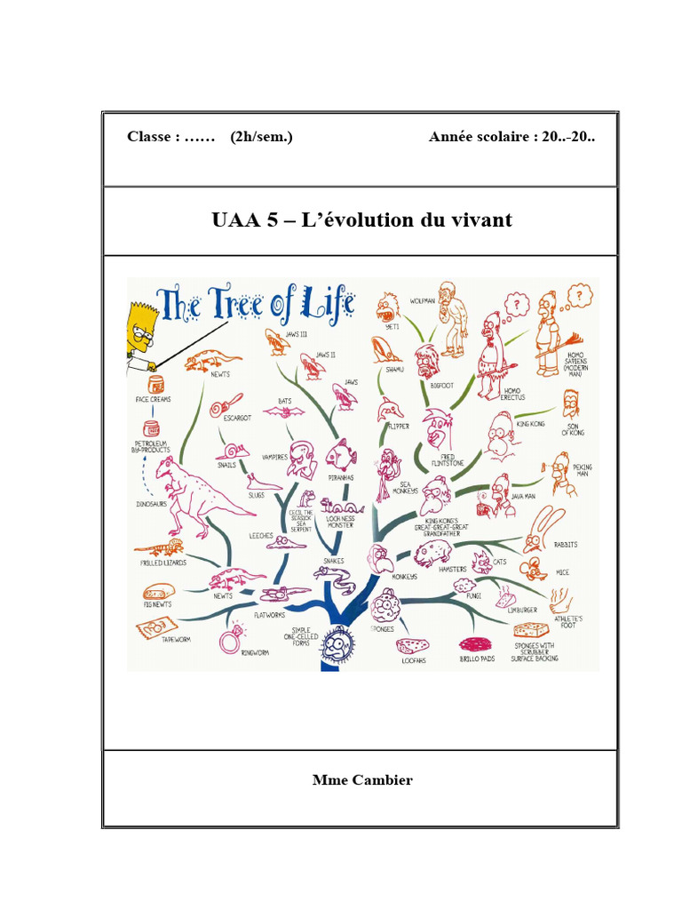 Relation vie-milieu sur Terre | PDF | Phylogenèse | Évolution