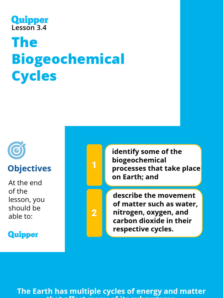 Understanding Biogeochemical Cycles | PDF | Nitrogen | Earth Sciences