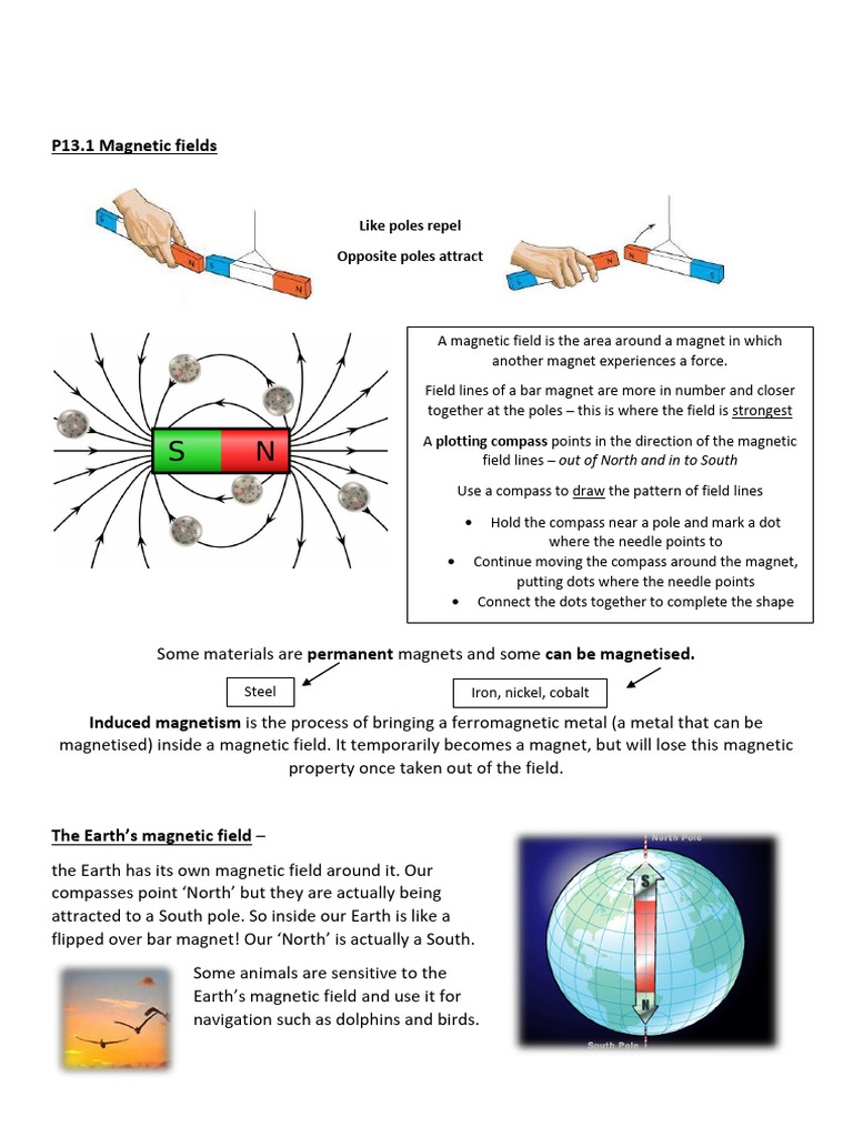 Understanding Electromagnetism Basics | PDF | Magnetism | Magnet