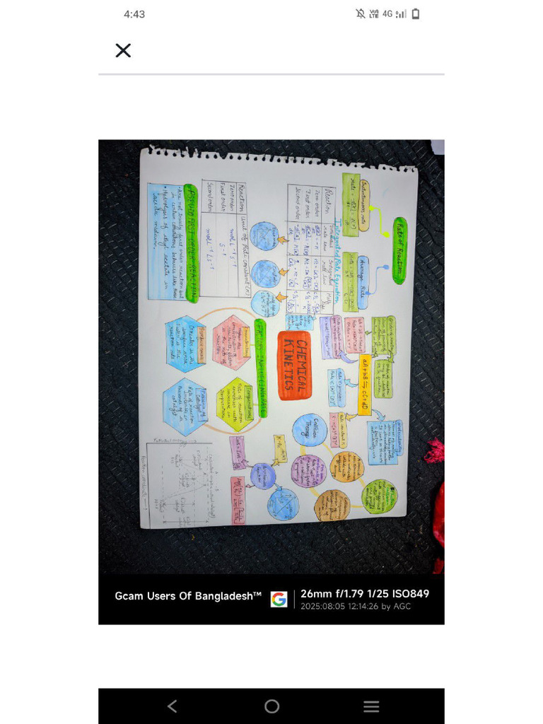 Study Notes Class 12 | PDF