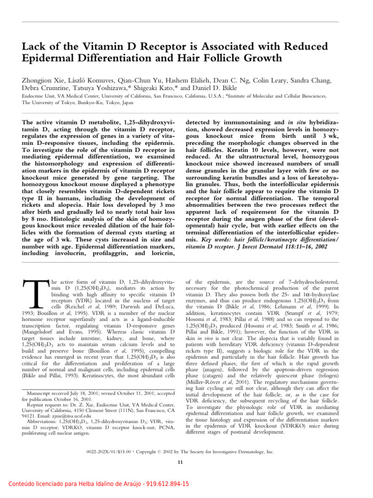 Image illustrating the relationship between Vitamin D receptor status and epidermal or skin-related changes relevant to hair follicle health
