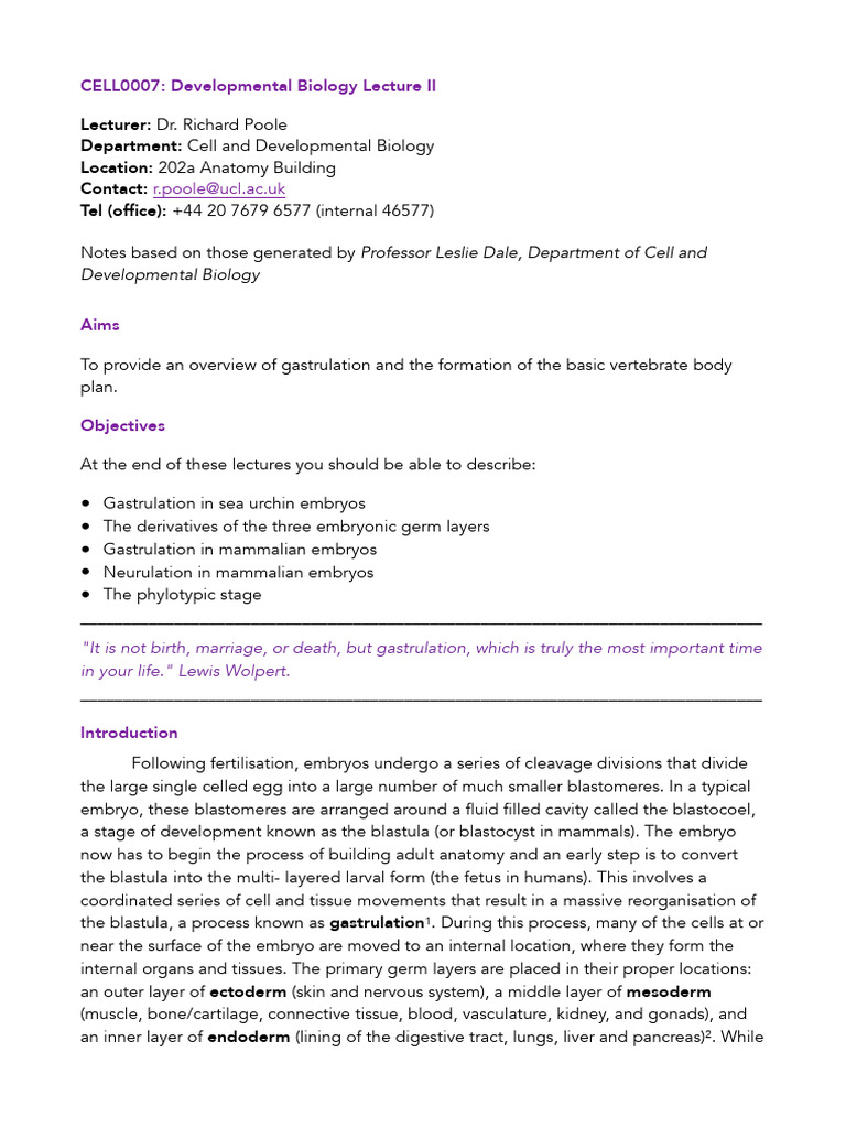 CELL0007 Developmental Biology Notes | PDF | Embryo | Uterus