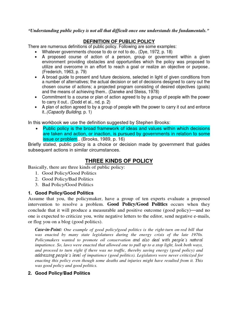 Definition of Public Policy PDF Committee Policy