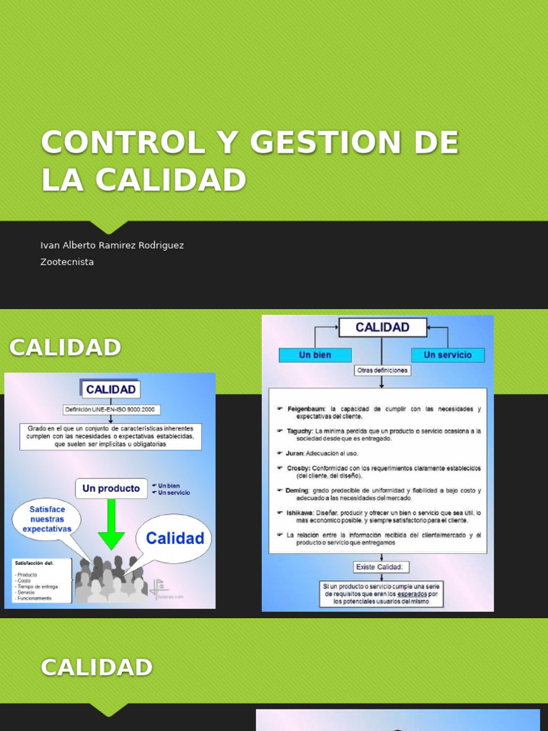 Control y Gestion de La Calidad. 01 | PDF